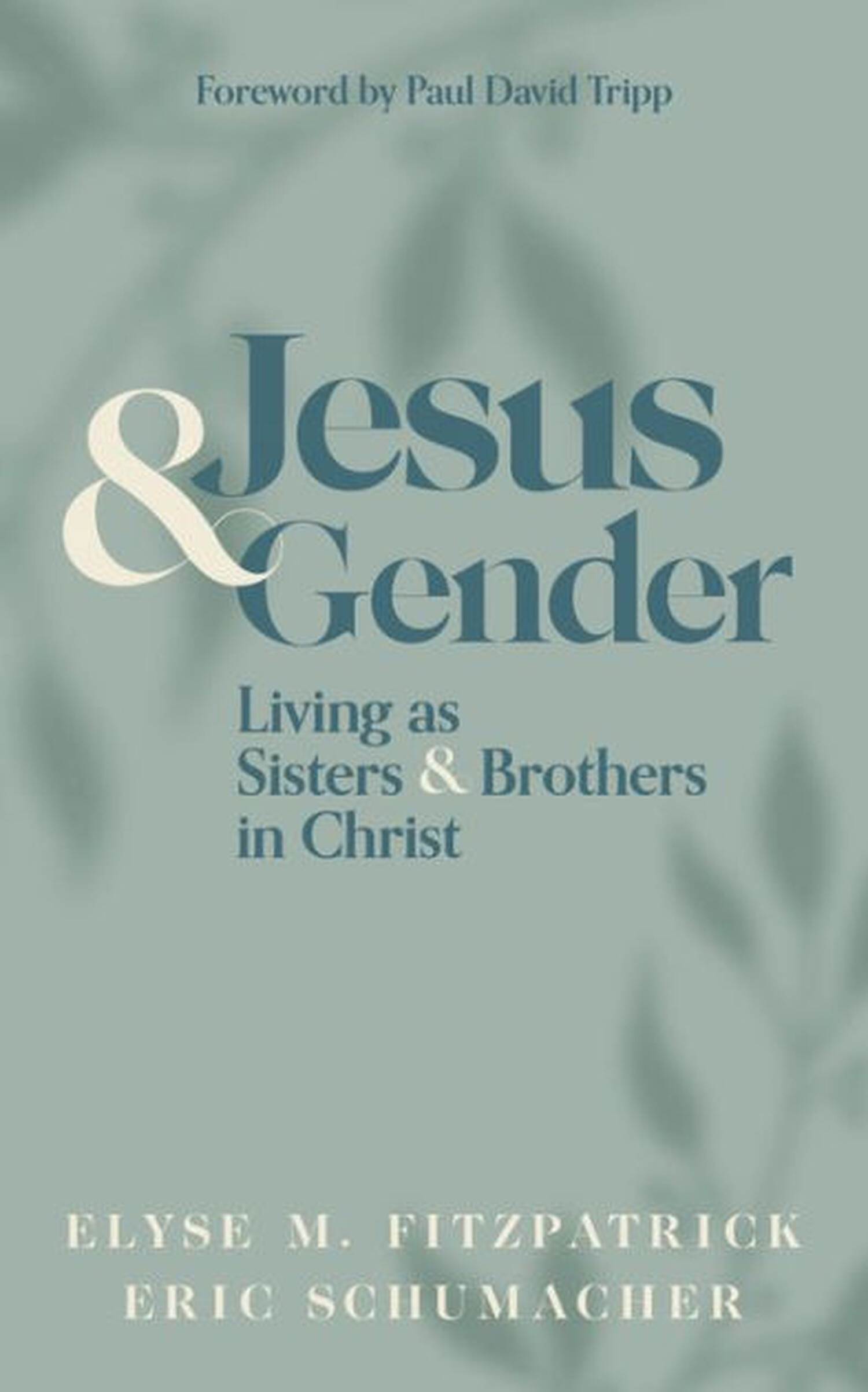 Jesus-and-Gender.jpeg