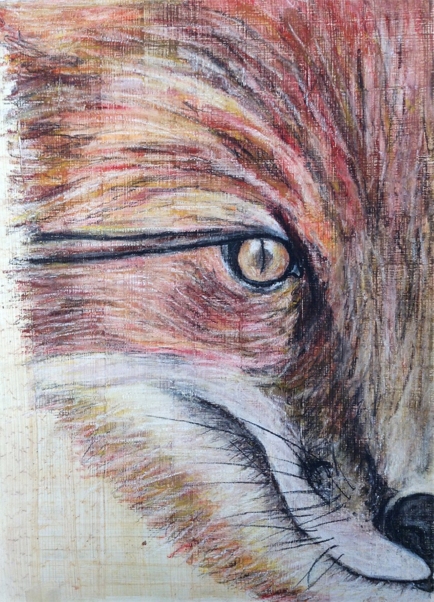 Portrait-of-a-Fox.jpg