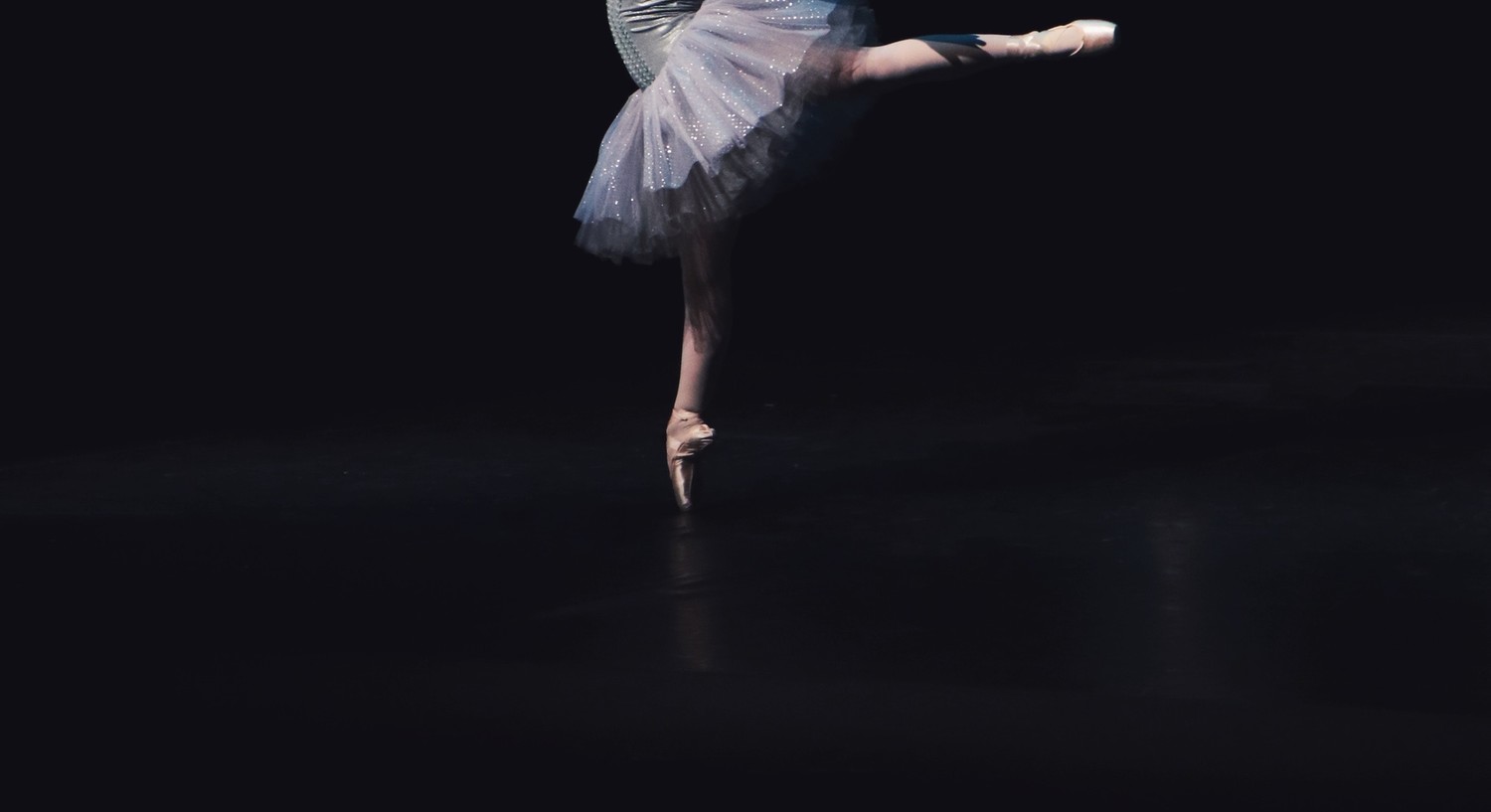 ballerina-2.jpg