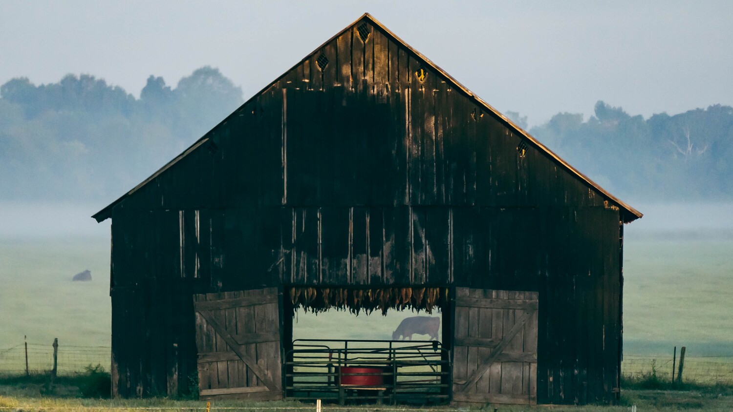 The Tobacco Barns, Cathedrals, and Churches That Make Us