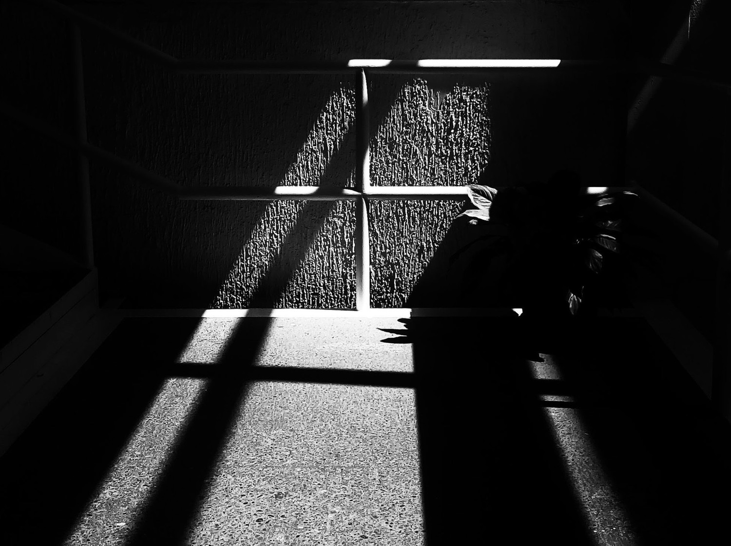 Separating Light from Shadows