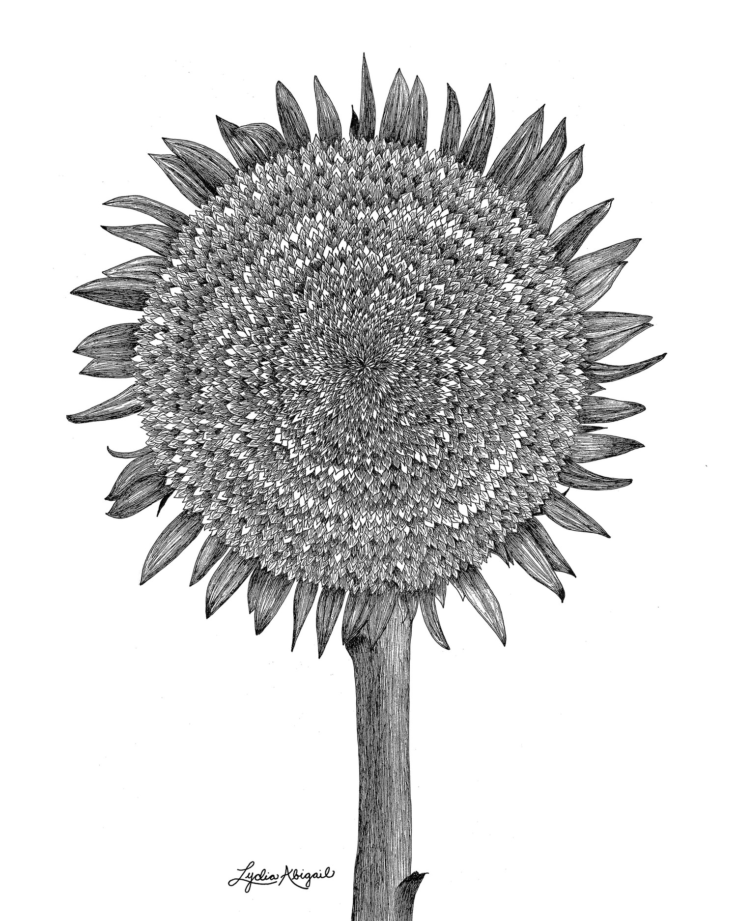 sunflower-8x10-min.jpg